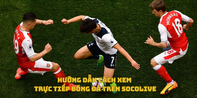 Trực Tiếp Bóng Đá Socolive Có Bản Quyền Không? Góc Nhìn Đa Chiều 6 Hướng dẫn cách xem trực tiếp bóng đá trên Socolive TV